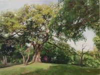 branches-of-education