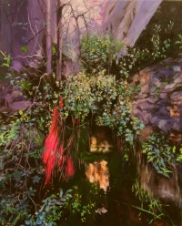 coral-root-0