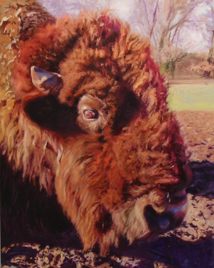 bison-wallow