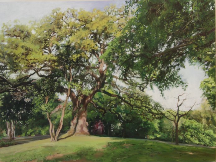 branches-of-education