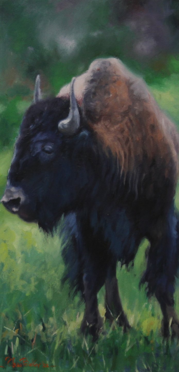 young-buffalo